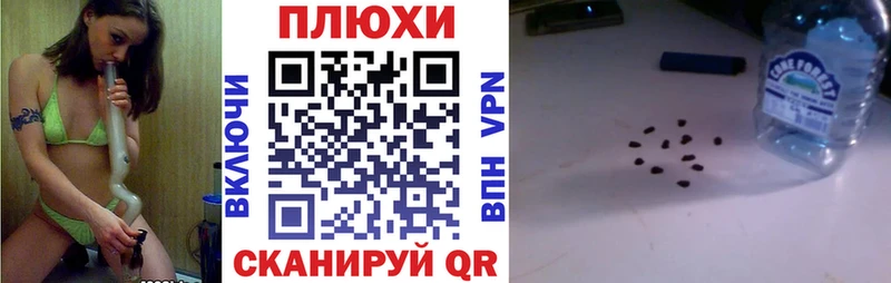 ГАШ Premium  Боровичи 