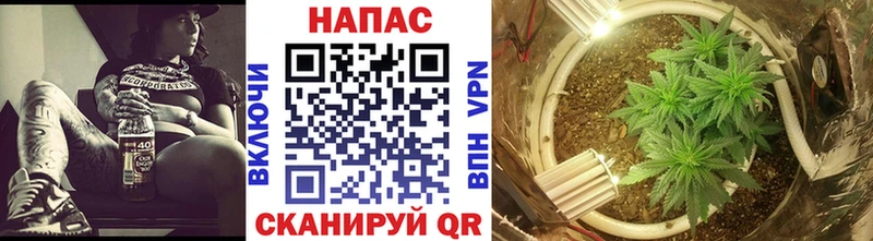 Марихуана Ganja  Боровичи 